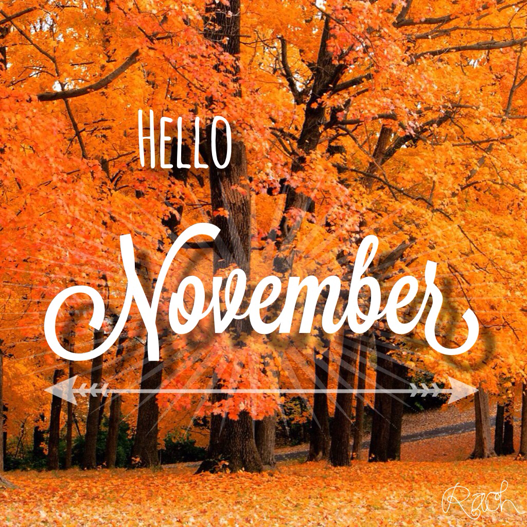 Hello November - JTA Wellness; San Antonio Dietitians